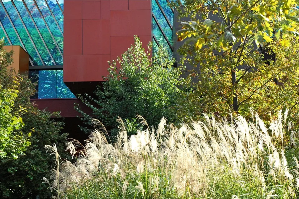 Musée du quai Branly, Paris, présentant des collections issues de la colonisation française