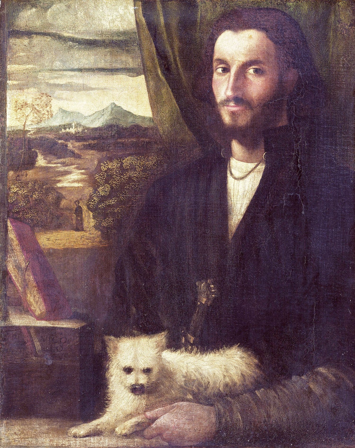 Portrait jeune de Léonard de Vinci, artiste de la Renaissance