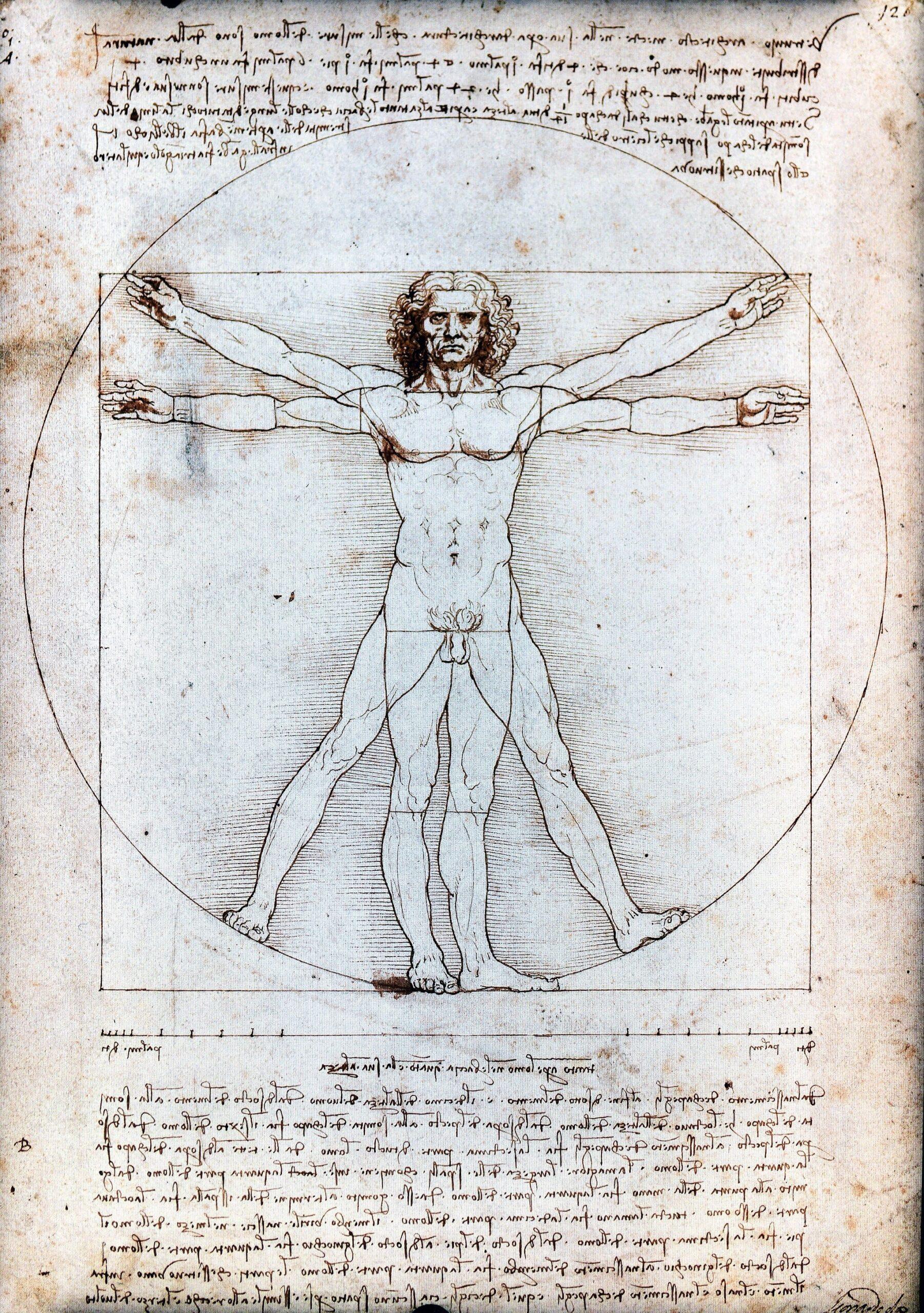 Dessin de Léonard de Vinci représentant les proportions idéales du corps humain dans un cercle et un carré