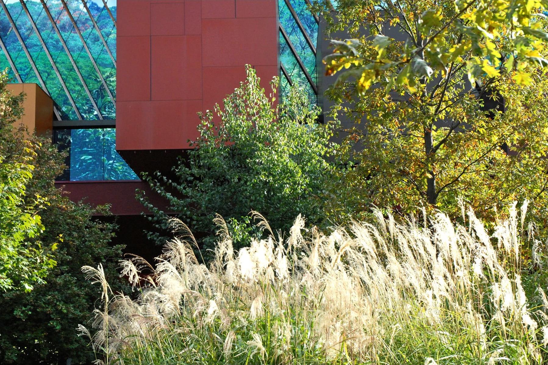 Musée du quai Branly, Paris, présentant des collections issues de la colonisation française