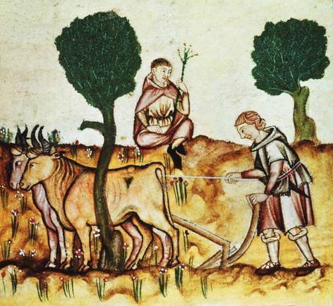 Paysan labourant un champ au Moyen Âge avec deux bœufs attelés et un autre homme observant