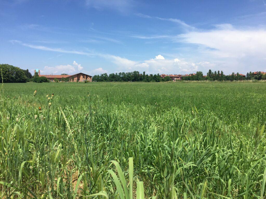 Paysage actuel vu depuis la commune de Zivido, sur le site de la bataille de Marignan (1515)